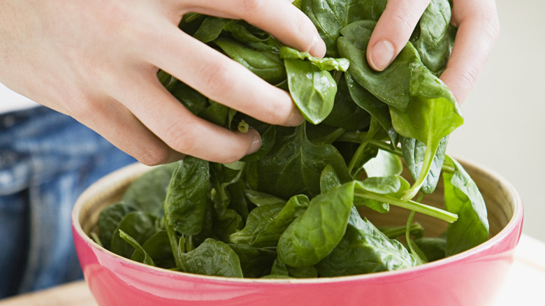 Person's hands tossing a bowl of fresh spinach leaves