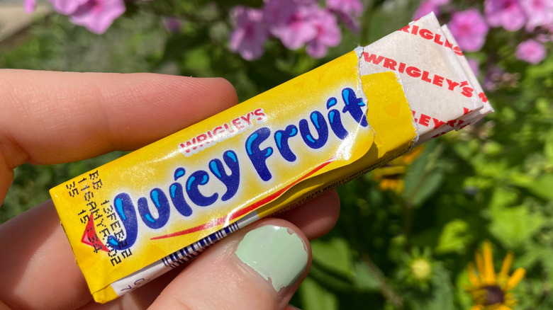 Pack of Juicy Fruit gum