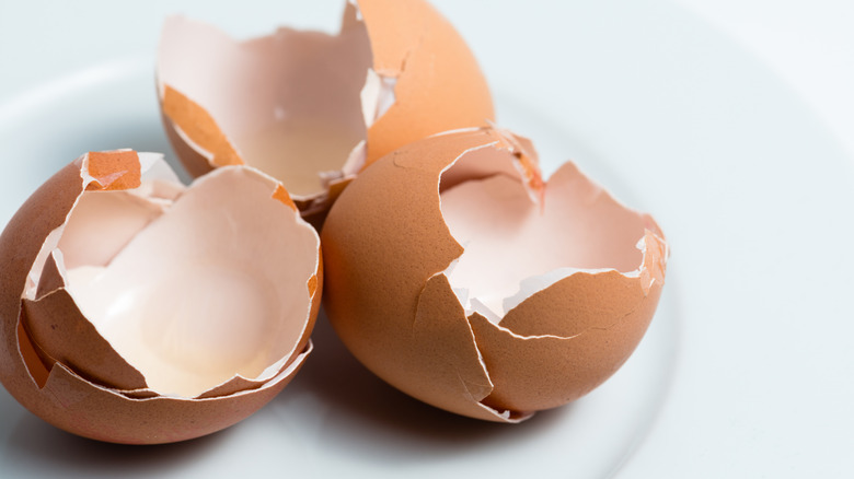 Three neatly broken egg shells on a white plate