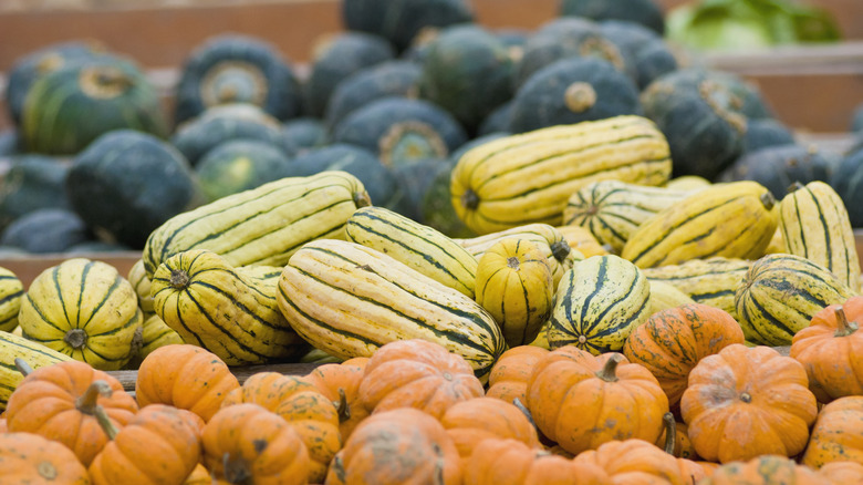 Three different types of squash at an outdoor market