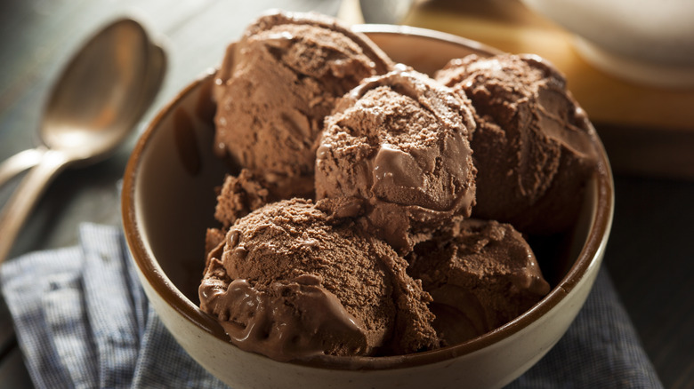 Chocolate ice cream in bowl