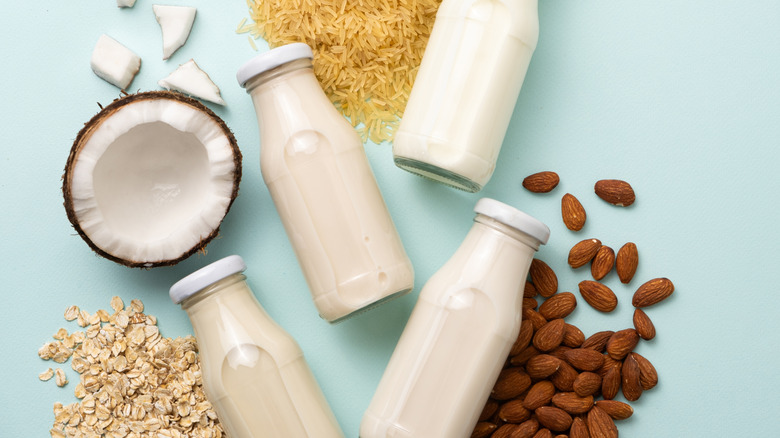 Multiple containers of plant based milk next to coconut, almonds, oats, and rice.