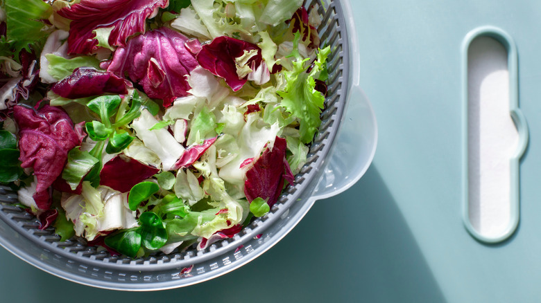 mixed greens inside basket of salad spinner over a cutting board