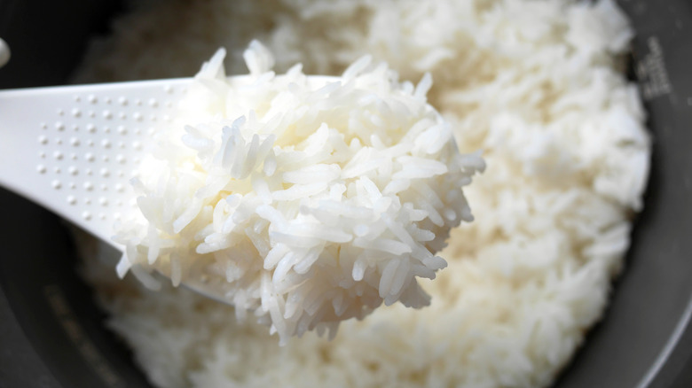 White rice scooped from rice cooker