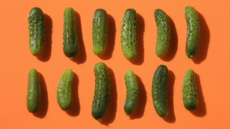 Twelve pickles lined up on a plain orange background.