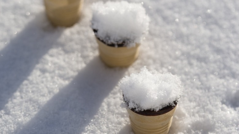 Snow packed into ice cream cups.