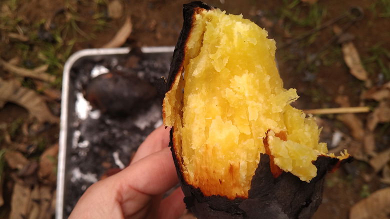 charcoal baked japanese sweet potato