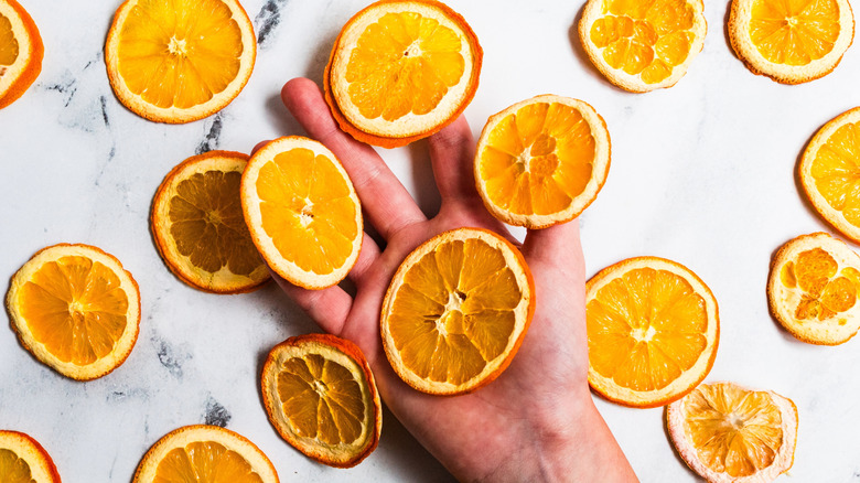 A hand holding dehydrated oranges.